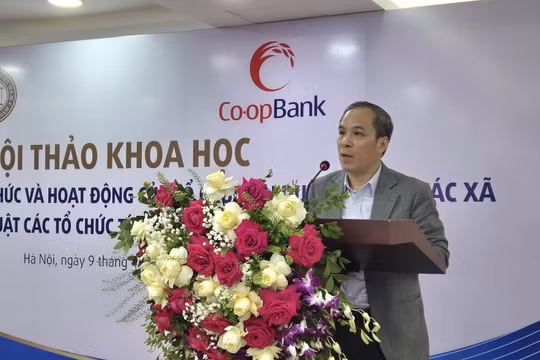 Nâng cao năng lực tài chính cho Ngân hàng Hợp tác xã là cần thiết, cấp bách
