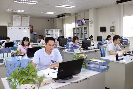 Không thành lập phòng trong Vụ, cơ cấu lại đơn vị sự nghiệp công lập theo hướng tinh gọn