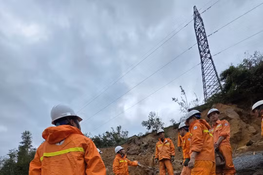 Lãnh đạo Công ty Truyền tải điện 3 kiểm tra công tác vận hành lưới điện sau lũ tại Gia Lai