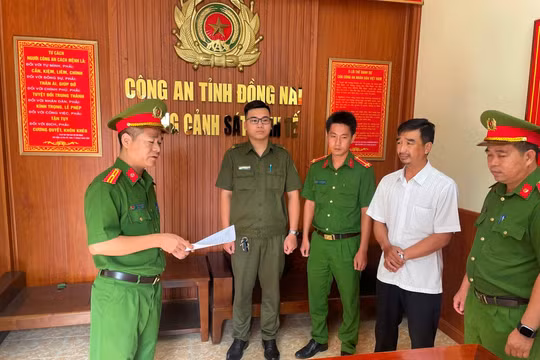 Lừa đảo chiếm đoạt tài sản, nhân viên Điện lực Biên Hòa 2 bị khởi tố