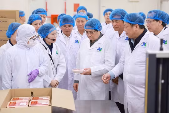 Tổ hợp khép kín chăn nuôi & chế biến thịt bò cao cấp đầu tiên tại Việt Nam