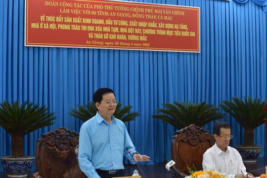 An Giang, Đồng Tháp và Cà Mau phải giảm ít nhất 30% chi phí kinh doanh