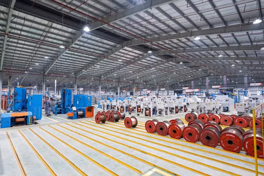 Hai lĩnh vực mang lại 'lợi nhuận khủng' và dài hạn cho GELEX