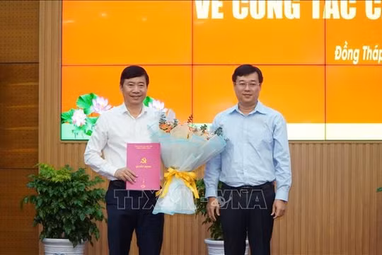 Trao quyết định nghỉ hưu trước tuổi đối với Chủ tịch UBND tỉnh Đồng Tháp