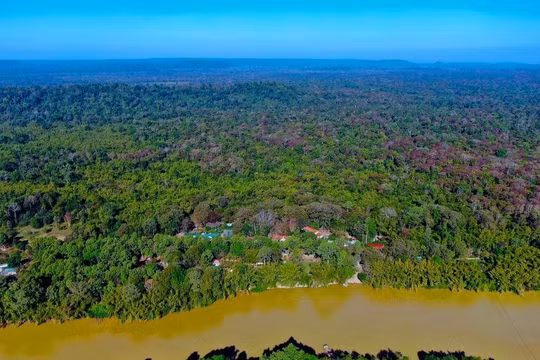 Mời thầu gần 43 tỷ đồng cho dự án thành phần 'Nâng cấp, cải tạo cơ sở hạ tầng Vườn quốc gia Cát Tiên'