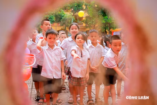 Từ sân trường đến sân chơi: Học sinh Hà Nội có mùa hè ý nghĩa