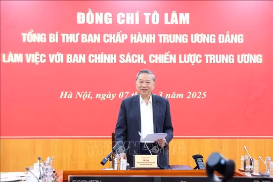 Phải có chiến lược rõ ràng về phát triển khu vực kinh tế tư nhân ở Việt Nam