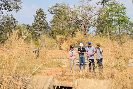 Gia Lai: Chuyển đổi gần 5ha rừng tự nhiên, xây dựng 10 tuyến kênh nhánh thủy lợi Ia Mơr