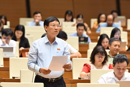 Cần bổ sung thêm Tòa lao động trong tổ chức của Tòa án khu vực