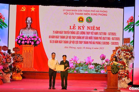 Thanh niên xung phong Hải Phòng dành cả thanh xuân cho dân tộc