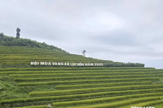 Hội Mùa vàng xã Lục Hồn: Khám phá ruộng bậc thang và trải nghiệm văn hóa Tày - Dao