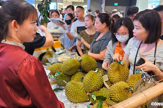 Hải Phòng: Hàng trăm người chen nhau mua sầu riêng sạch