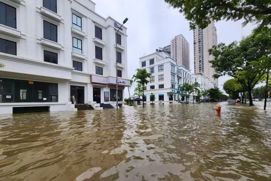 Hà Nội: Xử lý nghiêm các trường hợp chậm bàn giao, vi phạm quy định quản lý hệ thống thoát nước đô thị