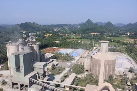 Xi măng Quang Sơn thua lỗ gần 2.000 tỷ, Thanh tra Chính phủ chuyển hồ sơ sang Bộ Công an