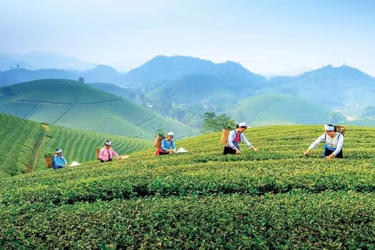 Thái Nguyễn nỗ lực hoàn thành mục tiêu kinh tế - xã hội năm 2025