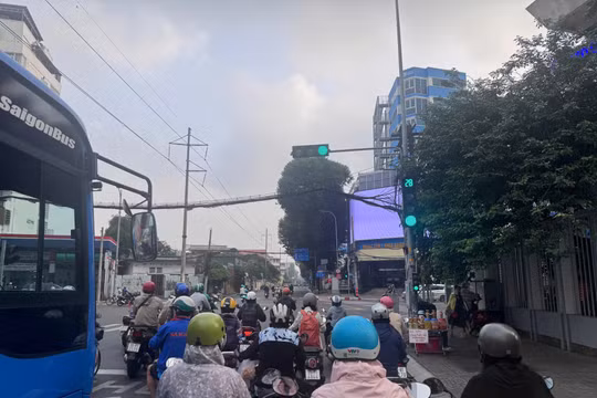 TP HCM: Phạt hơn 42 tỷ đồng sau 1 tuần áp dụng Nghị định 168