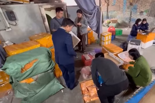 Thu giữ hơn hai tấn thực phẩm đông lạnh không giấy tờ
