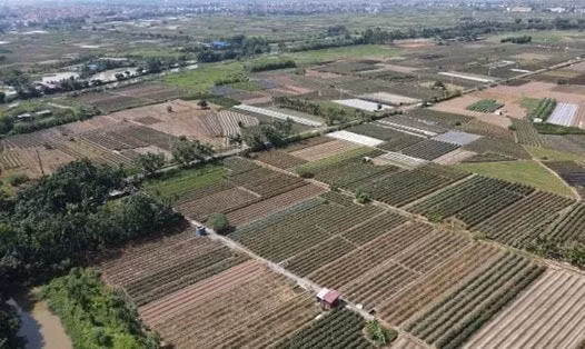 Hà Nội: Sắp đấu giá gần 20.000 m2 đất tại Hà Hồi, Thường Tín