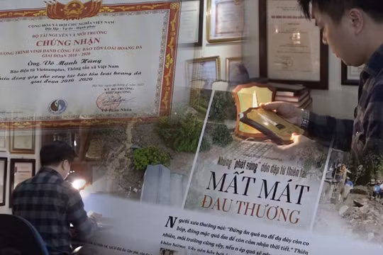 Nhà báo Võ Mạnh Hùng: Bảo vệ môi trường là sứ mệnh của những người làm báo