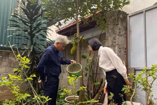 Dịch sốt xuất huyết diễn biến phức tạp tại Hà Nội