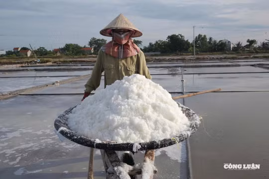 Diêm dân tăng thu nhập nhờ 'phù phép' cho hạt muối