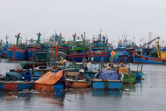 Tỉnh Gia Lai chỉ đạo khẩn trương tìm kiếm tàu cá và 8 ngư dân mất tích trên biển