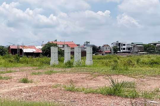 Bắc Ninh triển khai 90 ngày thực hiện chiến dịch làm sạch, làm giàu cơ sở dữ liệu đất đai