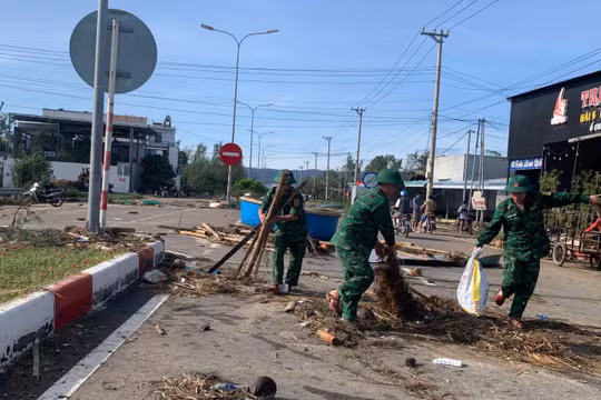Chủ tịch UBND tỉnh Gia Lai: Khẩn trương khắc phục thiệt hại do bão số 13 càn quét