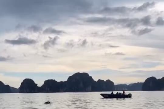 Tìm thấy thi thể phụ nữ nghi là nạn nhân vụ lật tàu trên vịnh Hạ Long