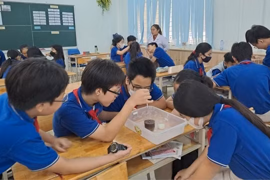 Kế hoạch tuyển sinh đầu cấp của TP Thủ Đức năm học 2025-2026