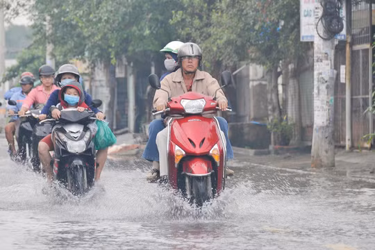 Dự báo thời tiết ngày 25/2: Bắc Bộ, Trung Bộ tiếp tục rét buốt, có nơi mưa to