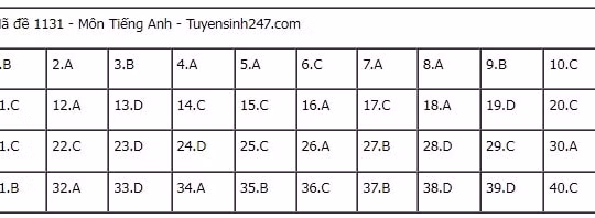Điều chỉnh tăng thêm 3.714 tỷ đồng tổng mức đầu tư cao tốc Biên Hòa–Vũng Tàu giai đoạn 1