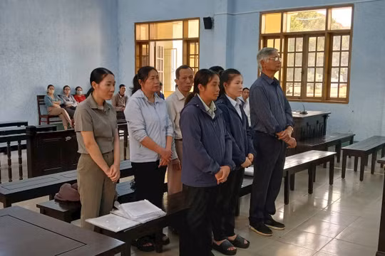Gia Lai: Cựu Phó Chủ tịch huyện lãnh án vì liên quan sai phạm đất đai