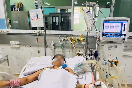 Nhiều người trẻ nhập viện nguy kịch vì sốt xuất huyết Dengue