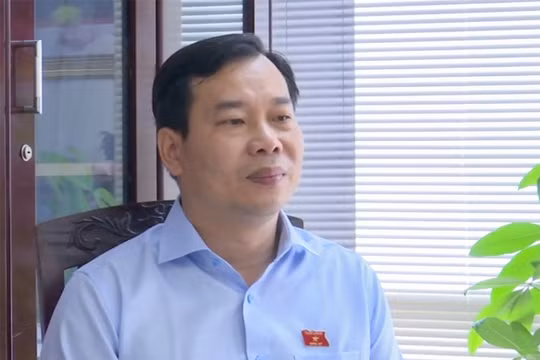 Cần có sự phân hóa rõ ràng hơn về mức hình phạt, bảo đảm tính công bằng