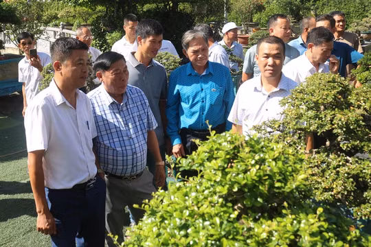 Bắc Ninh: Trưng bày 99 tác phẩm cây cảnh nghệ thuật và thả 99 đàn chim bồ câu chào mừng Đại hội Đảng bộ tỉnh