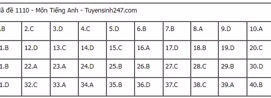 Gợi ý đáp án đề thi tốt nghiệp THPT 2025 môn Tiếng Anh (tất cả các mã đề)