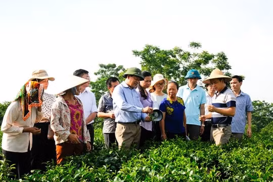 Thái Nguyên: Hỗ trợ giảm nghèo gắn với mục tiêu phát triển bền vững