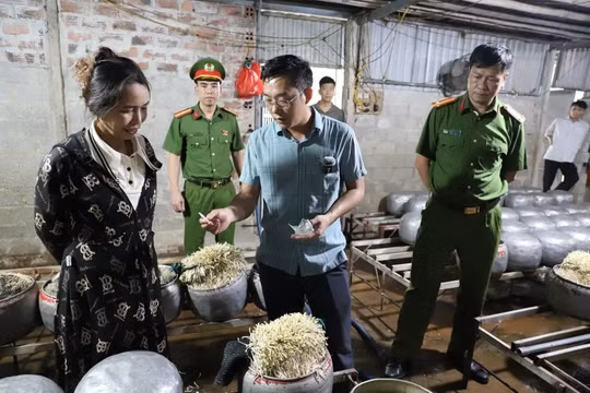 Bộ Y tế đề xuất tăng gấp 2 lần mức phạt với hành vi dùng phụ gia cấm, quảng cáo sai sự thật
