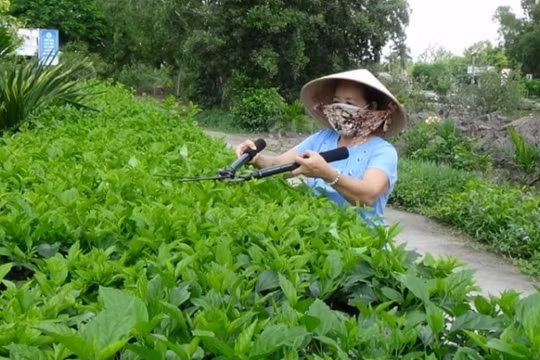 Cà Mau tạo bứt phá trong giảm nghèo bền vững