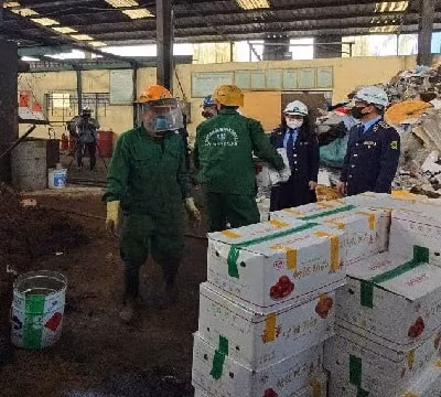 Hải Dương: Ngăn chặn hơn 1,4 tấn táo đỏ khô nhập lậu đã biến chất