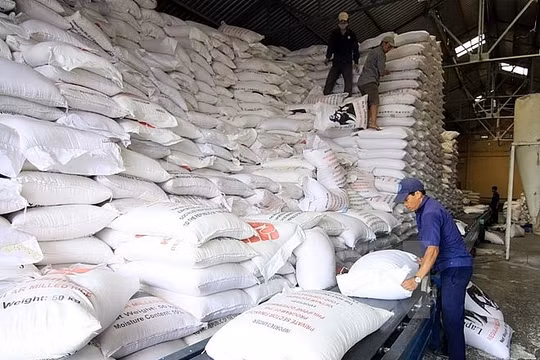 Gần một nửa sản lượng gạo Việt Nam xuất khẩu là tới thị trường Philippines