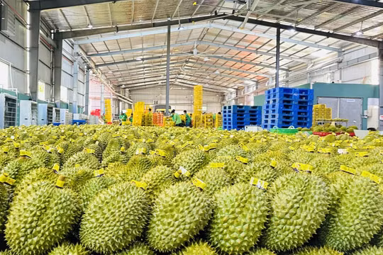 Ngăn chặn, xử lý vi phạm dư lượng hóa chất trong nông, lâm, thủy sản và truy xuất, xử lý tận gốc