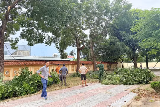 Nghệ An, Huế, Quảng Trị hoãn tựu trường để ứng phó siêu bão Kajiki