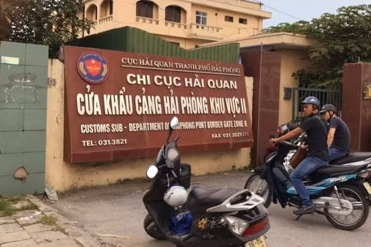 Vụ buôn lậu gỗ 1.814 tỷ đồng: Kế toán trưởng hưởng 90% lợi nhuận bất chính