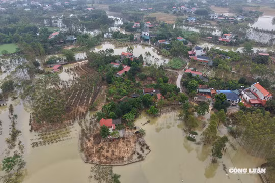 Xã Bố Hạ (tỉnh Bắc Ninh): Xác xơ sau cơn lũ dữ sông Thương