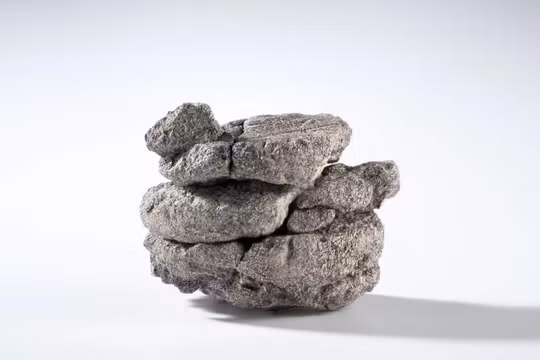 Phát hiện hóa thạch khủng long ngay dưới bảo tàng... khủng long