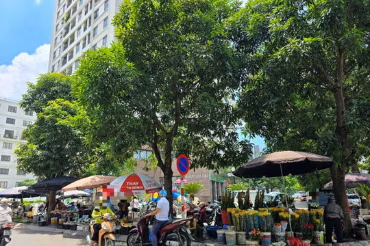 Hà Nội: Nhiều nguyên nhân khiến 'chợ cóc' vẫn tồn tại