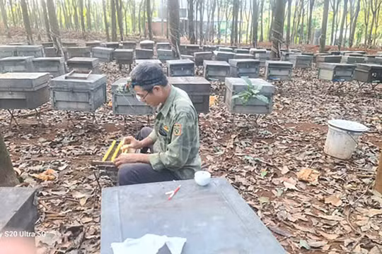 Ninh Bình: Nhiều kết quả ấn tượng trong thực hiện giảm nghèo vùng đồng bào dân tộc thiểu số
