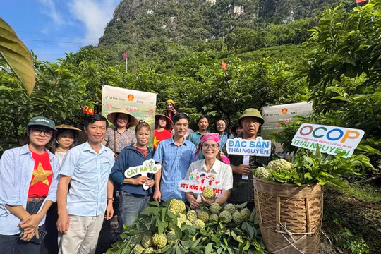 Thương mại điện tử và các nền tảng số- cơ hội phát triển kinh tế cho vùng khó